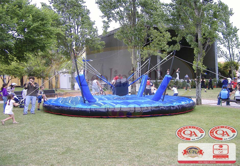 Bungee Bull