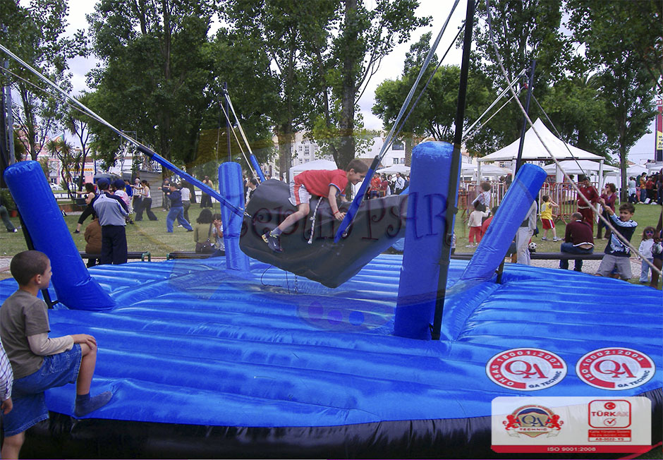 Bungee Bull